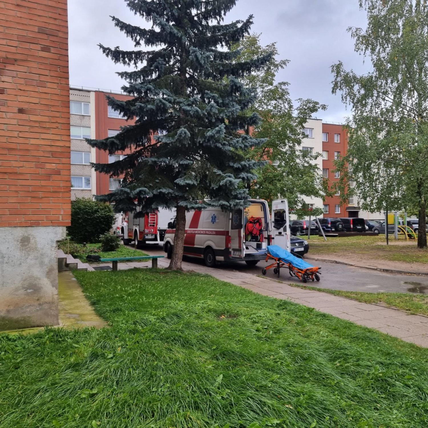 Rokiskiosirena.lt - Prie Daugiabučio - Specialiosios Tarnybos (foto)