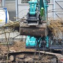 Tvarkoma AB „Rokiškio Sūris“ teritorija (video+foto)