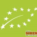 Žino, mato, išbando – vaikų susidomėjimas sveika gyvensena kur kas didesnis, nei mano suaugusieji 