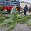 Rokiškėnai namo nešėsi eglės ir pušies šakų bei pirmą kartą – Betliejaus taikos ugnį (foto)
