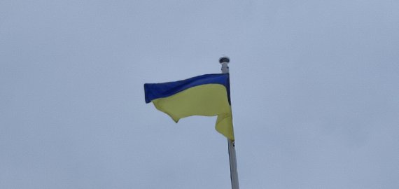 Ukrainos karo pabėgėliai nemokamai galės naudotis įstaigų teikiamomis paslaugomis