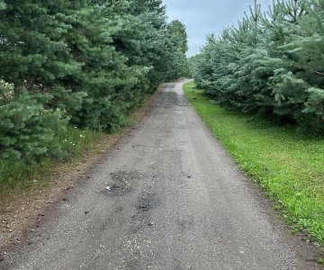 38 a namų valdos sklypas Rokiškio mieste