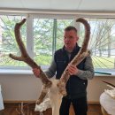 Rajono medžiotojai suskaičiavo raguotuosius trofėjus: Pandėlio girioje sumedžiotas unikalus gamtos reiškinys (foto)