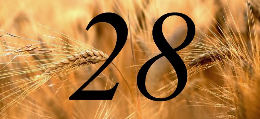 Rugpjūčio 28-oji Lietuvoje ir pasaulyje