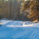 Kur šį savaitgalį vyks „Biorina Winter Rally Rokiškis 2026“? (žemėlapiai)