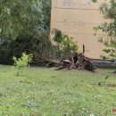 Rokiškį nusiaubė audra (video+foto)