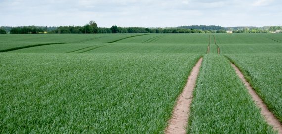 Švelnesni žalinimo reikalavimai – jau nuo šiandien