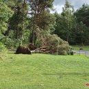 Rokiškį nusiaubė audra (video+foto)