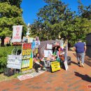 Vašingtono įžymybės, dviveidiškasis Detroitas ir nepamirštamos pamokos (foto)