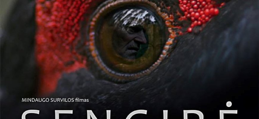 Dokumentinis filmas apie gamtą