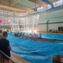 Neatrasti savaitgalio potyriai – rokiškėnai praleido progą „susipažinti“ su drakono valtimi (foto+video)