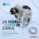 Specialistai įspėja: nuo -15°C lauke laikomus gyvūnus reikia įvesti į vidaus patalpas