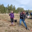 Ąžuolų giria jau pasodinta – Nacionalinis miškasodis Rokiškyje šį kartą buvo išskirtinis (foto)