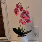 Stilinga dirbtinė orchidėja keraminiame vazone