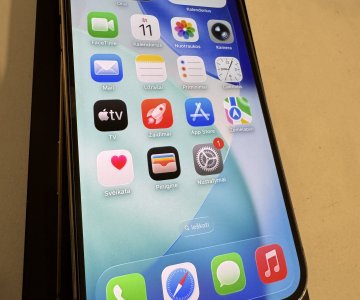 „iPhone 12 Pro Max“