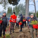 Rokiškėnų „Laisvės miškas“ sužaliuos Bajorų girioje – įvyko nacionalinis miškasodis (foto)