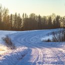 Kur šį savaitgalį vyks „Biorina Winter Rally Rokiškis 2026“? (žemėlapiai)