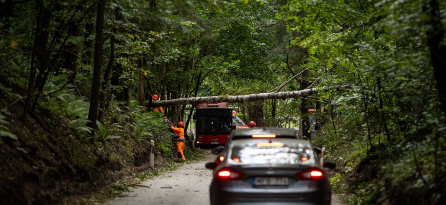 Sekmadienio rytą elektros dar neturi 219 tūkst. šalies gyventojų