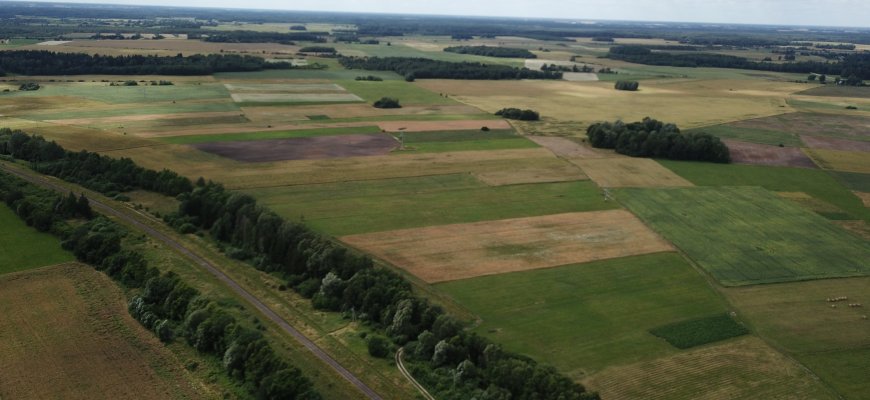 Daugiametės pievos – kam jų atkurti nereikės?