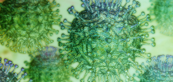 Lietuvoje patvirtintas pirmasis užsikrėtimo koronavirusu atvejis