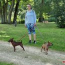 Ilzenbergo dvaro tradicija – šunų festivalis: šį kartą nustebino aklo šuns pasirodymas (foto)