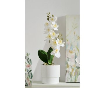 Dirbtinė orchidėja