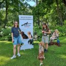 Ilzenbergo dvaro tradicija – šunų festivalis: šį kartą nustebino aklo šuns pasirodymas (foto)