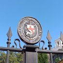 Vietoj pasiskolintų eksponatų į Vatikaną „grįžo“ krašto muziejaus kolektyvas