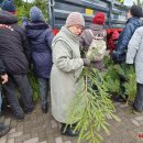 Rokiškėnai namo nešėsi eglės ir pušies šakų bei pirmą kartą – Betliejaus taikos ugnį (foto)