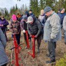 Rokiškėnų „Laisvės miškas“ sužaliuos Bajorų girioje – įvyko nacionalinis miškasodis (foto)