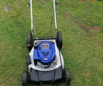 „Briggs Stratton 650“