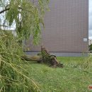 Rokiškį nusiaubė audra (video+foto)