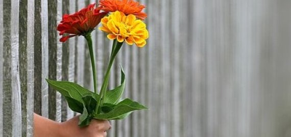 Renkamės tvorą: į ką svarbu atkreipti dėmesį?