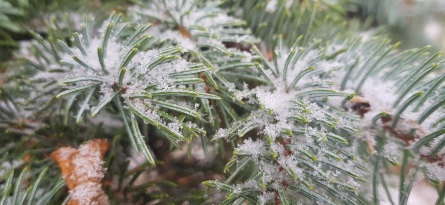 Orų pokyčiai: Lietuvą pasieks nauja ir galinga kritulių dozė