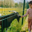 Ilzenbergo dvaro ekskursijos ir edukacijos: ką gali išmokti vaikai ir suaugusieji?