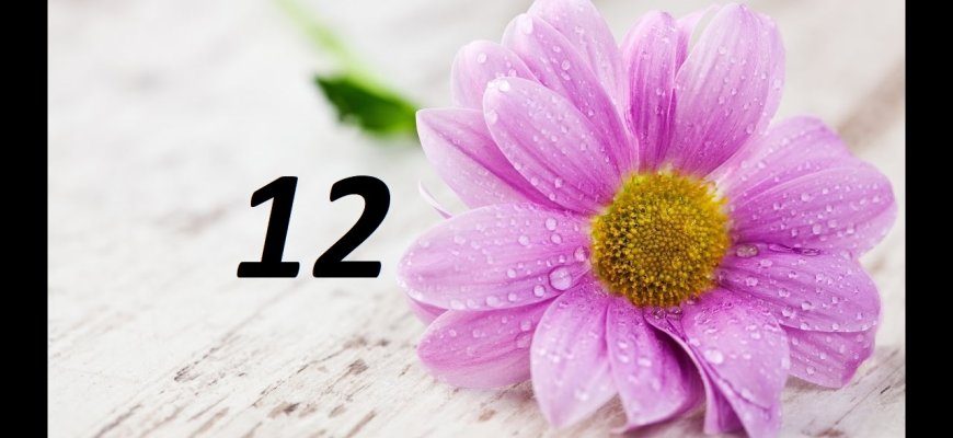 Gegužės 12-oji Lietuvoje ir pasaulyje