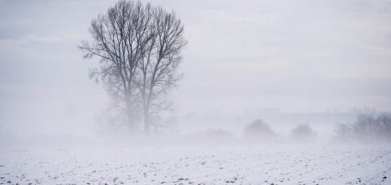 Parašyk laišką ant sniego švietėjui kun. Jonui Katelei