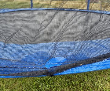 Batutas