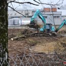 Tvarkoma AB „Rokiškio Sūris“ teritorija (video+foto)