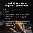 Mirus šeimininkui gyvūnai lieka vieni: kaip to išvengti