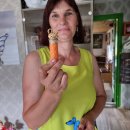 R. Junokienės priežiūroje – daugiau nei 3 tūkst. gulbių (foto)