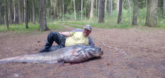 Rokiškėnas žvejas sugavo gyvenimo žuvį: milžiniškas šamas svėrė daugiau nei 90 kg