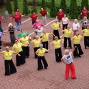 Nuvilnijo vasariškų pramogų kupinas tarptautinis festivalis senjorams „Wind of change“  (foto)