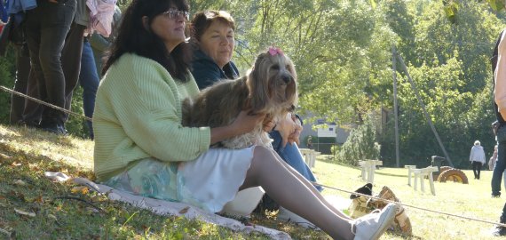 Tarptautinės šokių su šunimis varžybos Obeliuose (video)