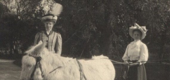 Dėl jos į Rokiškį atjotų ir pats Napoleonas! Spręsdamas kryžiažodį įmink grafaitės Sofijos žavesio paslaptį!