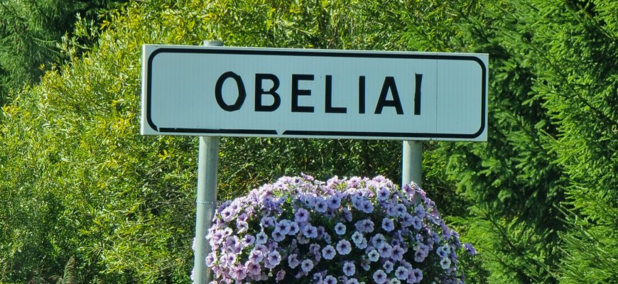 Obeliuose iš vyro paimtas peilis – „plaštakė“