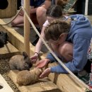 Stovyklauti į Vilnių: Rokiškio plaukikai visą savaitę pramogavo sostinėje (foto)