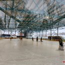 „Grizliai“ įveikė „Vilkus“ – pergalėmis pažymėtas žaidimas pamažu įsibėgėja 