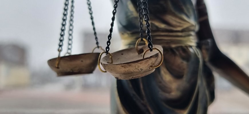 Teismas leido suimti nuo policijos bėgusį ir automobiliu ant pareigūnės kojos užvažiavusį vyrą