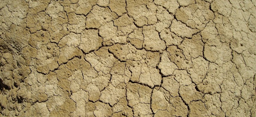 Lietuvoje skelbiama hidrologinė sausra - situacija labai rimta